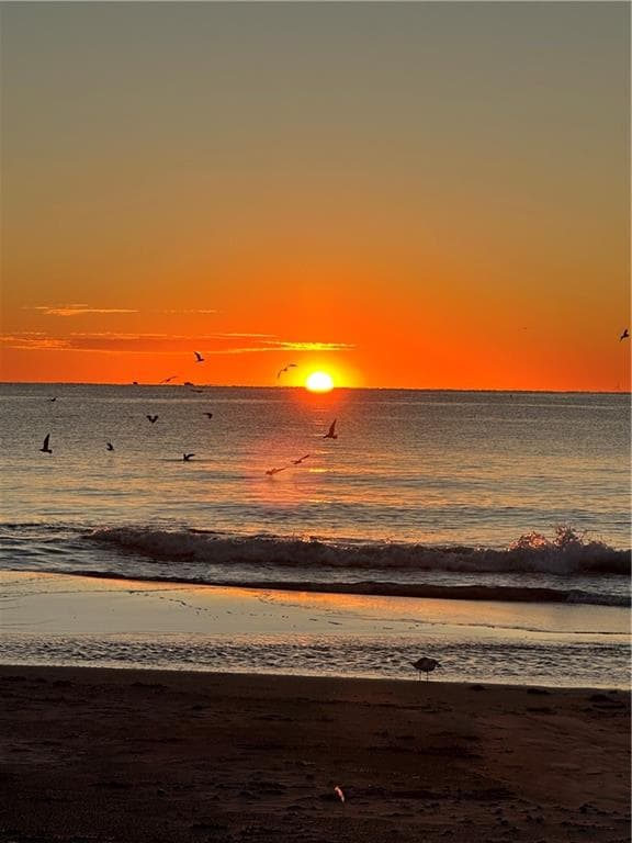 813 Ocean Road photo 29