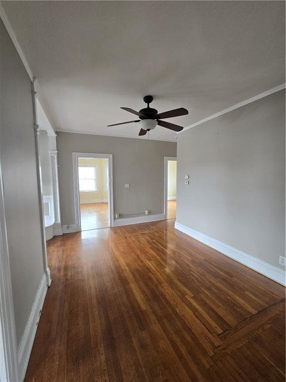 217 Elmwood Avenue photo 27