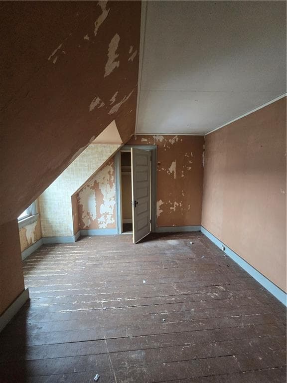 217 Elmwood Avenue photo 42