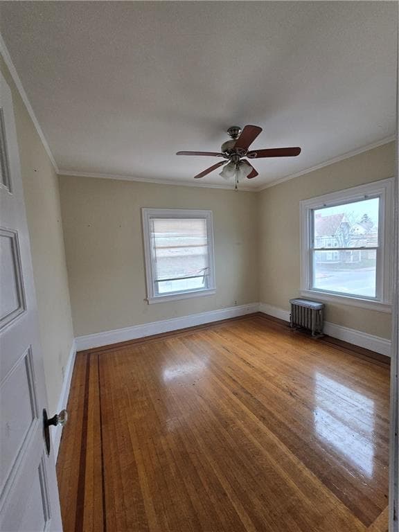 217 Elmwood Avenue photo 31