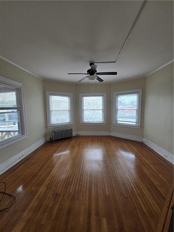 217 Elmwood Avenue photo 29