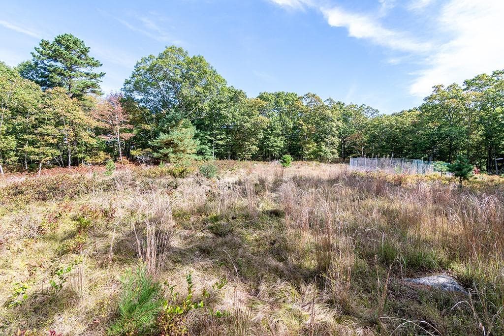 Unimproved Land at 155 Kings Factory Road, Charlestown, photo 3 of 7