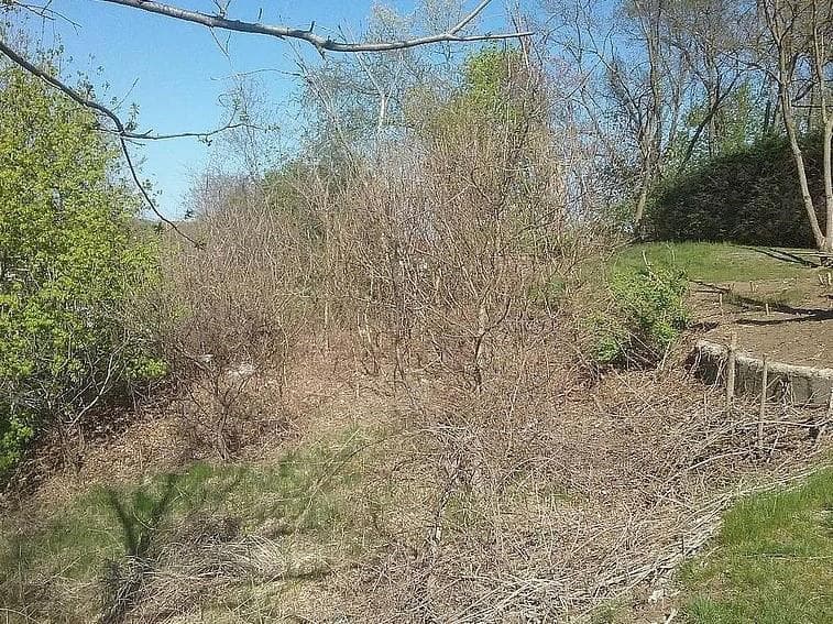 0 Plainfield Pike photo 3