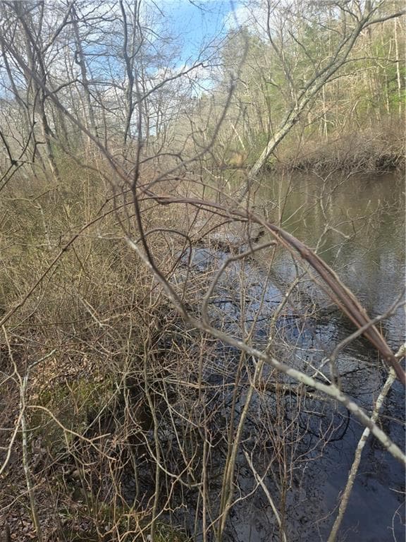 Unimproved Land at 0 Alton Braford Road, Hopkinton, photo 6 of 8