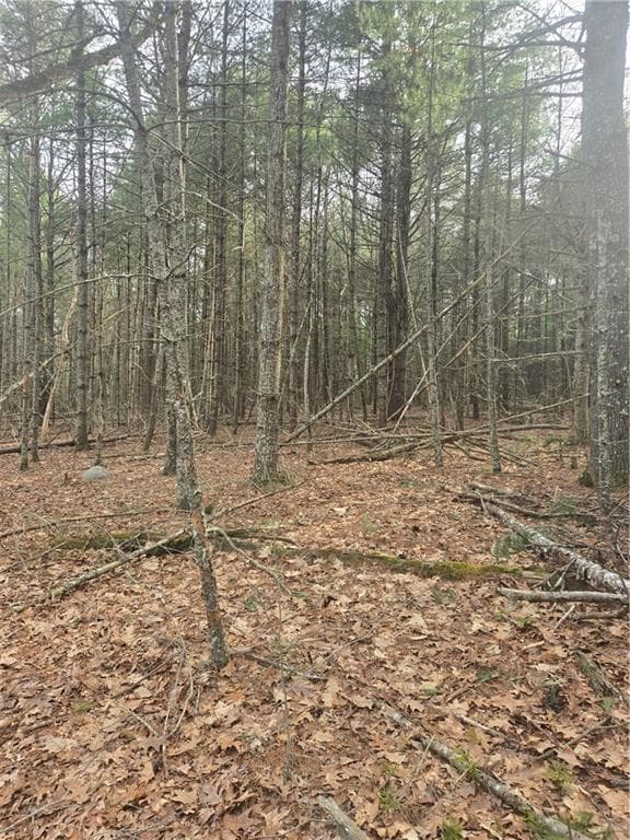 Unimproved Land at 0 Alton Braford Road, Hopkinton, photo 7 of 8