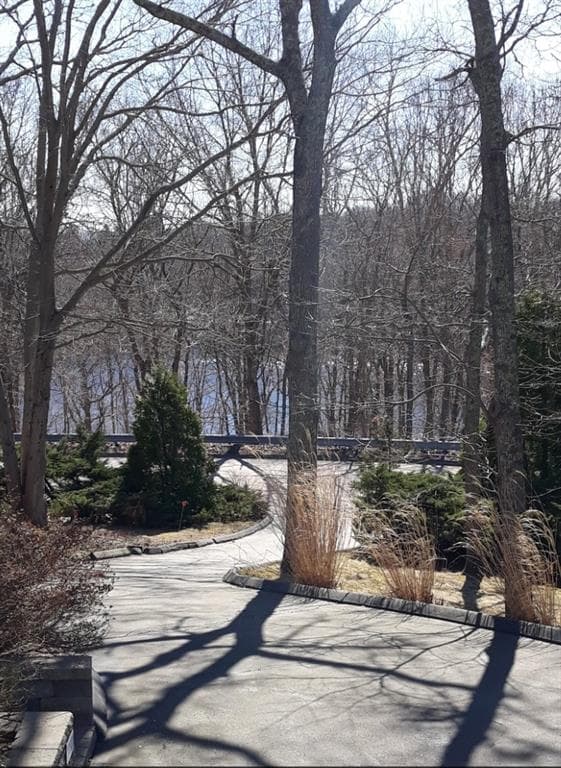 44 Rock Ridge Road photo 7