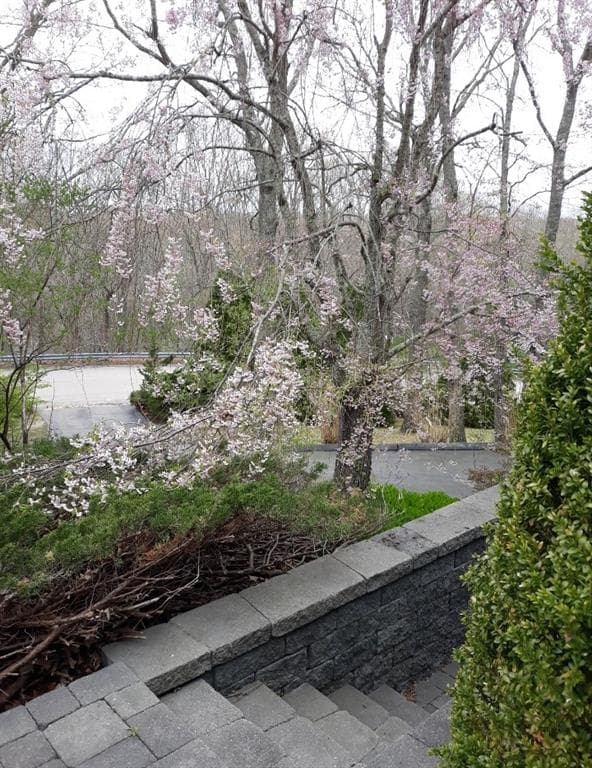 44 Rock Ridge Road photo 30