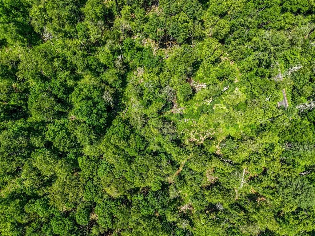 Unimproved Land at 0 Carrs Trail, Coventry, photo 43 of 48