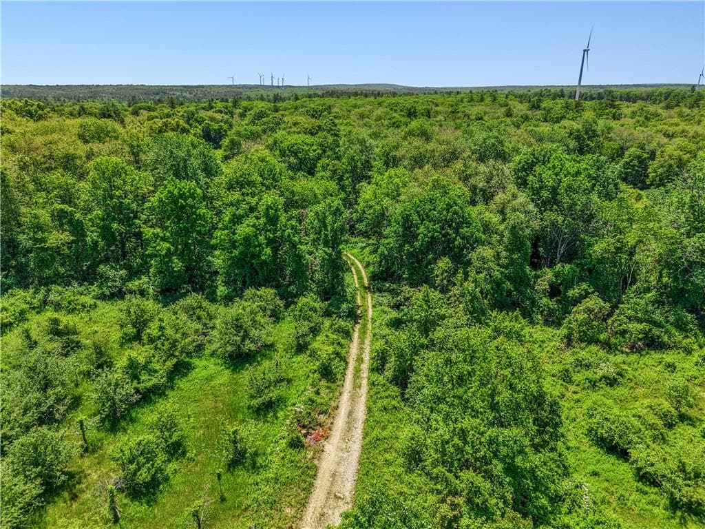 Unimproved Land at 0 Carrs Trail, Coventry, photo 22 of 48
