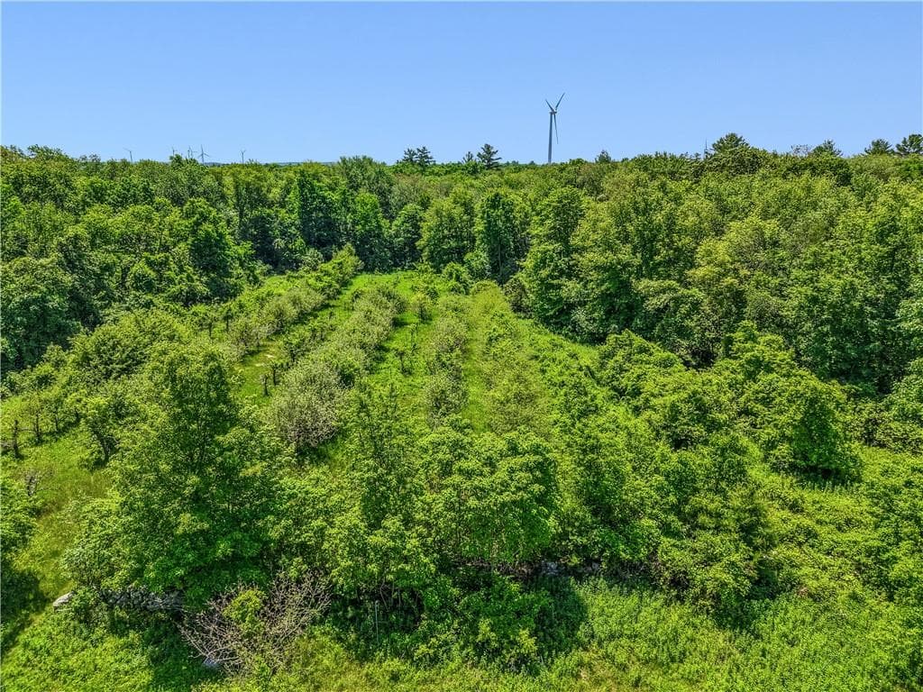 Unimproved Land at 0 Carrs Trail, Coventry, photo 33 of 48