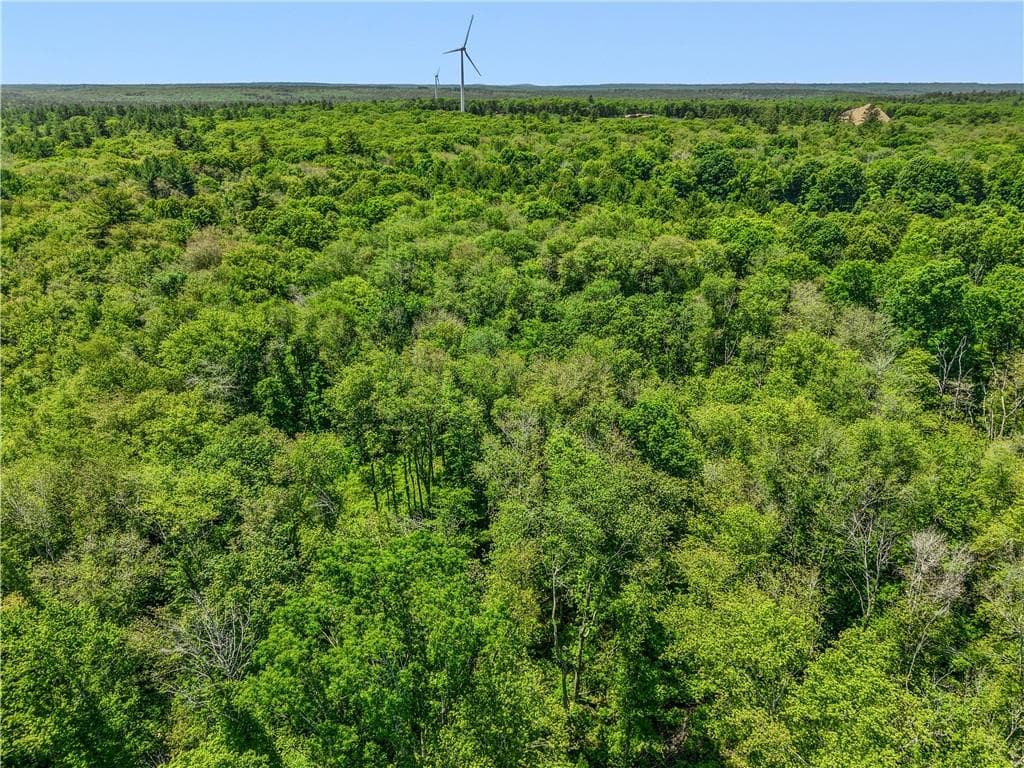 Unimproved Land at 0 Carrs Trail, Coventry, photo 18 of 48