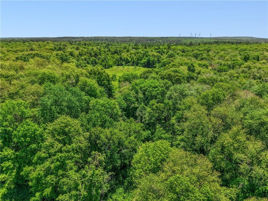 Unimproved Land at 0 Carrs Trail, Coventry, photo 21 of 48