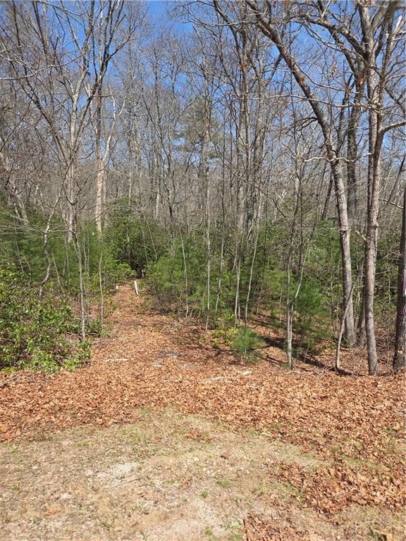 Unimproved Land at 0 Nadia Court, Hopkinton, photo 3 of 5