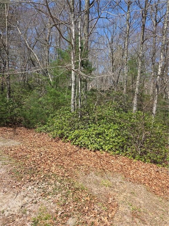 Unimproved Land at 0 Nadia Court, Hopkinton, photo 5 of 5
