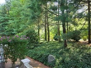 Condominium at 203 Dean Ridge Court, Cranston, photo 28 of 28
