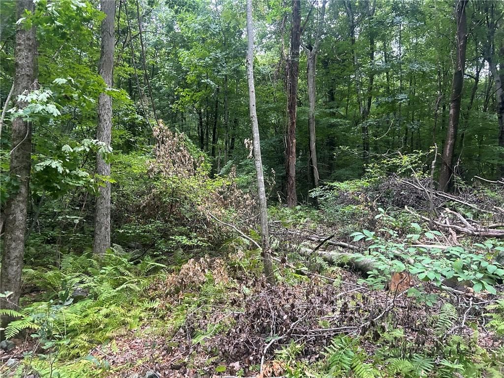 Unimproved Land at 263 Quaker Lane, Scituate, photo 6 of 13