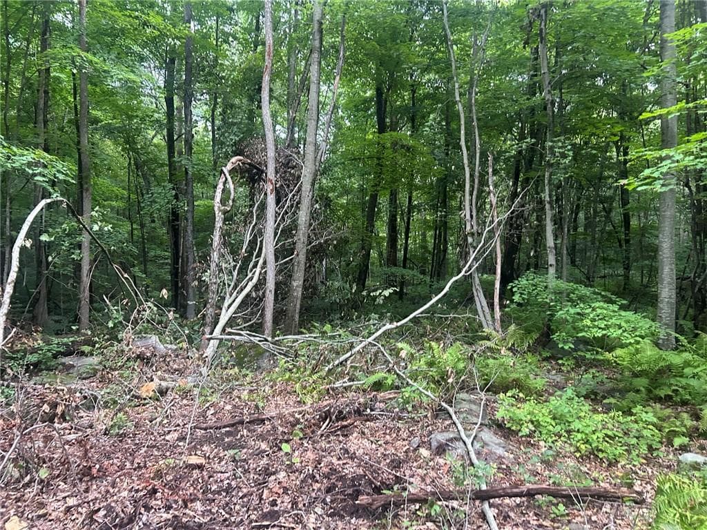 Unimproved Land at 263 Quaker Lane, Scituate, photo 5 of 13