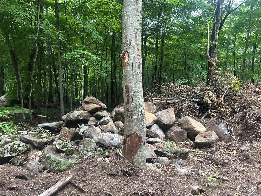 Unimproved Land at 263 Quaker Lane, Scituate, photo 8 of 13
