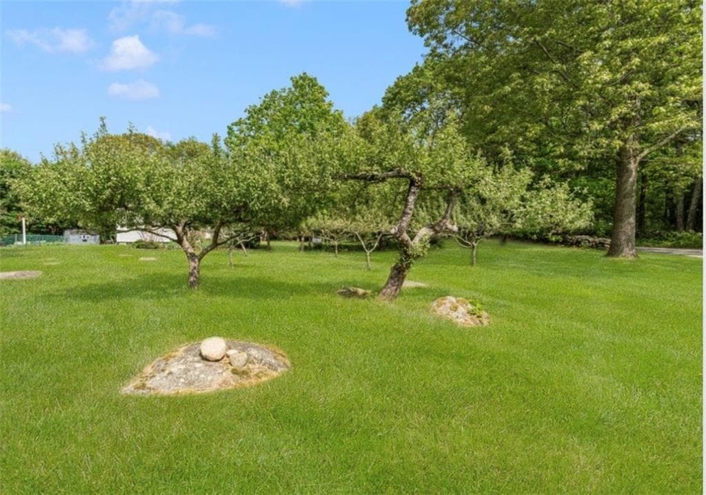 250 264 Ide Road photo 20