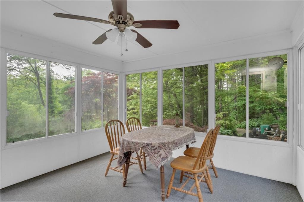 12 Howard Road photo 37