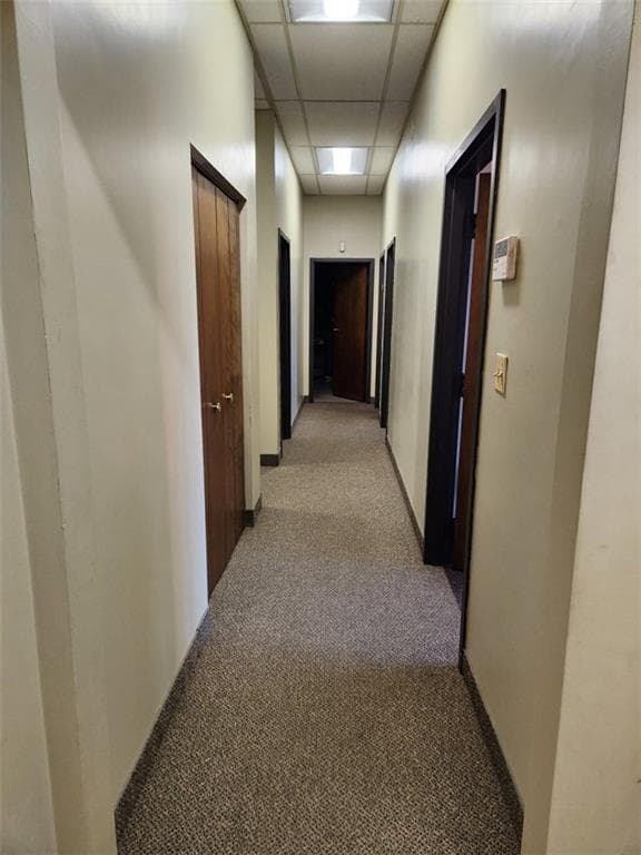 31 Delaine Street photo 15