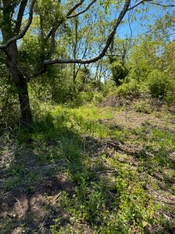 Unimproved Land at 0 Lee's Ridge Road, Block Island, photo 2 of 3