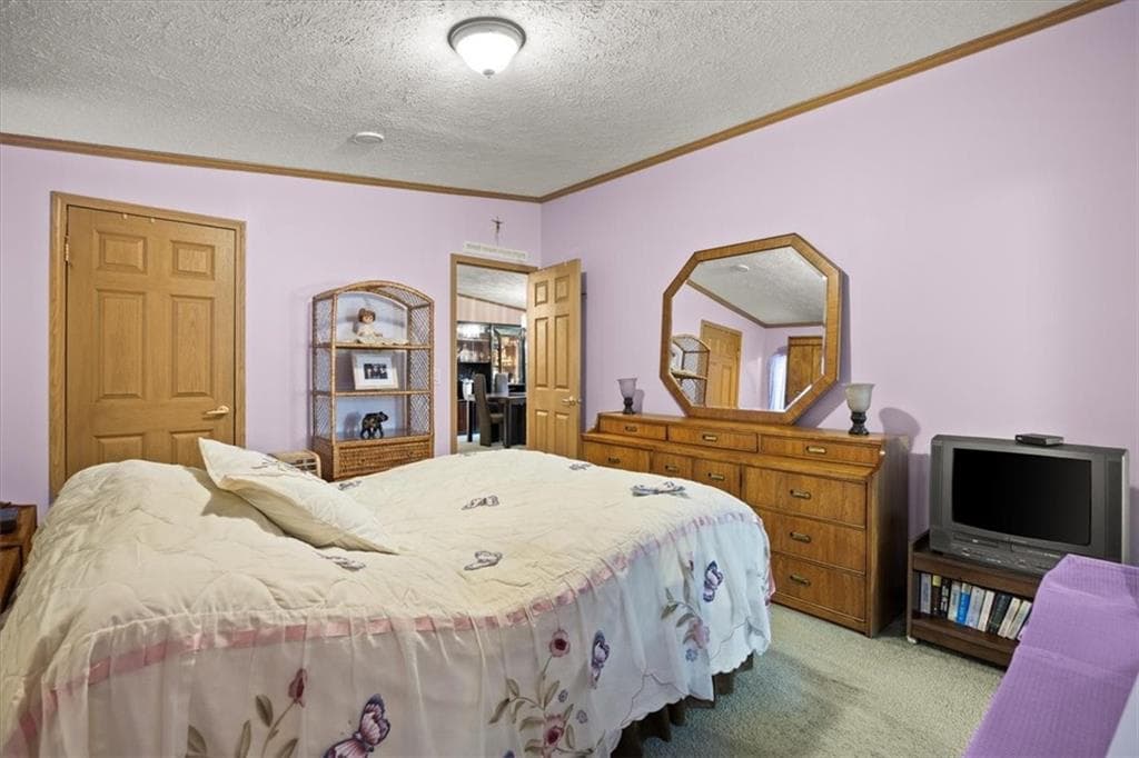 59 Robin Drive photo 12