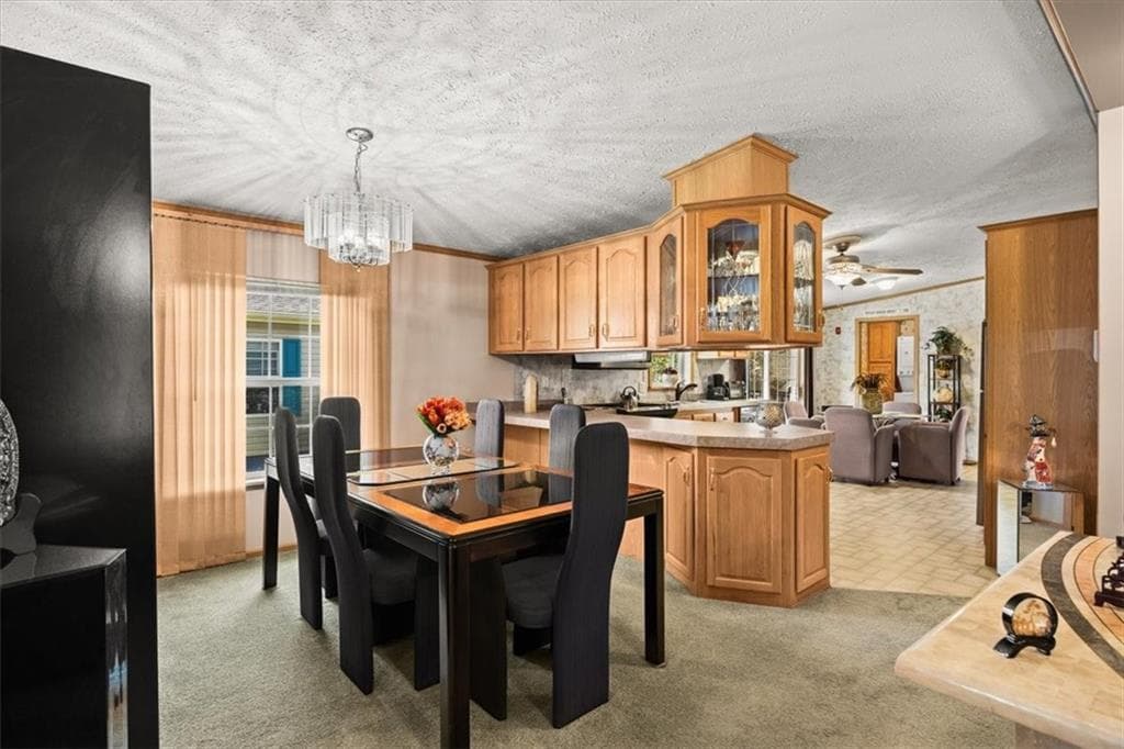 59 Robin Drive photo 26