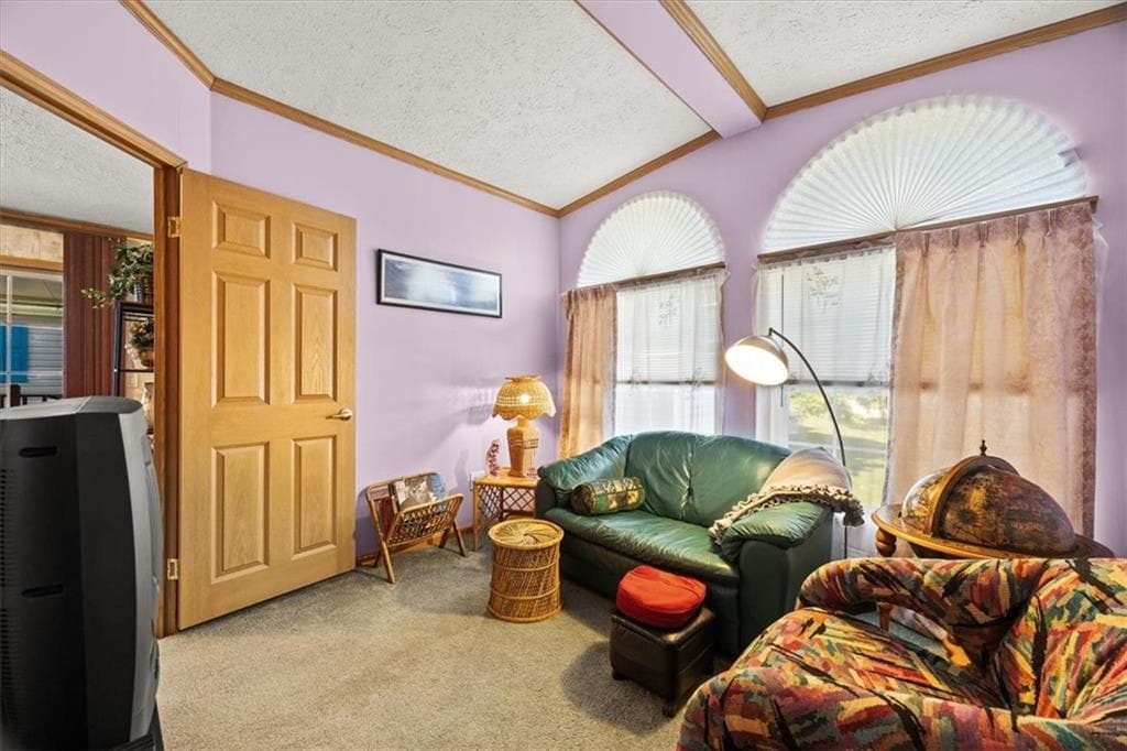 59 Robin Drive photo 7