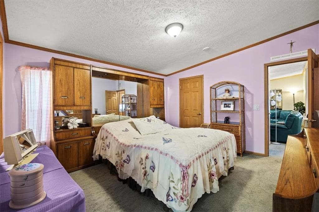 59 Robin Drive photo 9