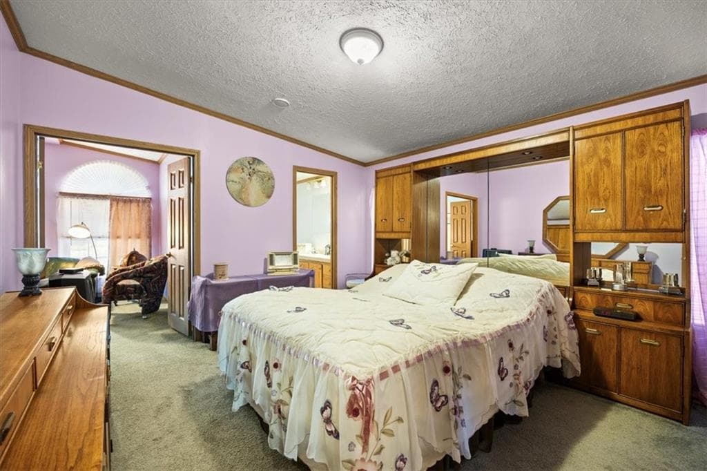 59 Robin Drive photo 10