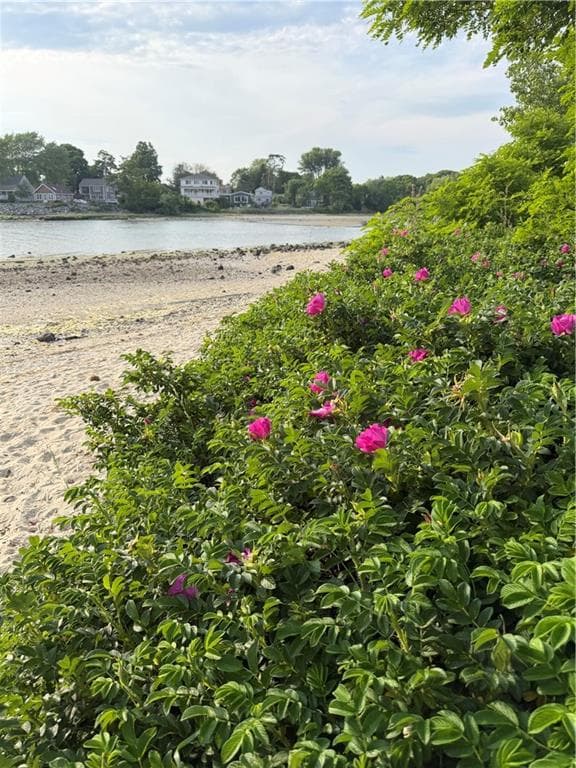 150 Alfred Drowne Road photo 19