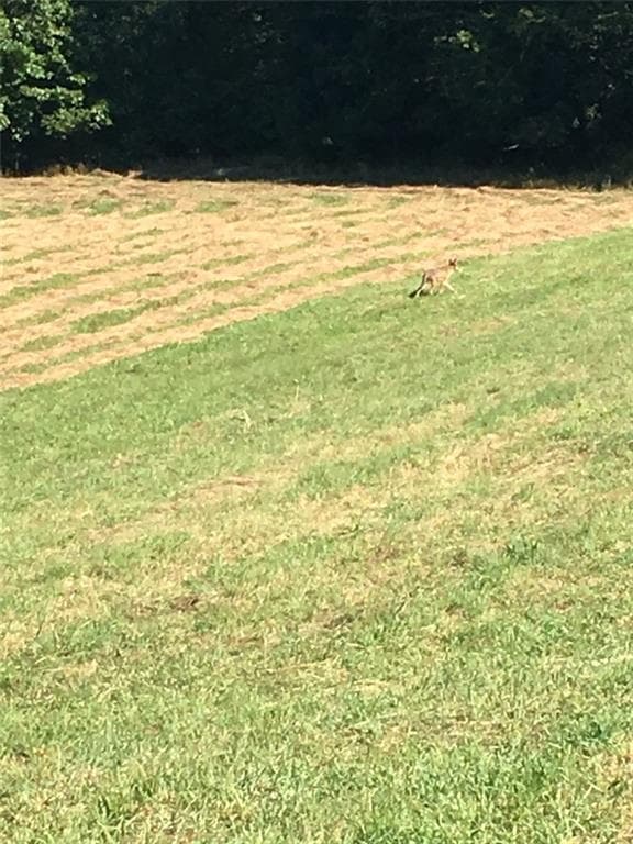 Unimproved Land at 536 R Highland Road, Tiverton, photo 3 of 8
