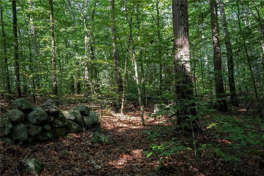 Unimproved Land at 0 East Shore Drive, Exeter, photo 13 of 18