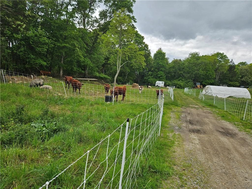 241 Cornell Road photo 27