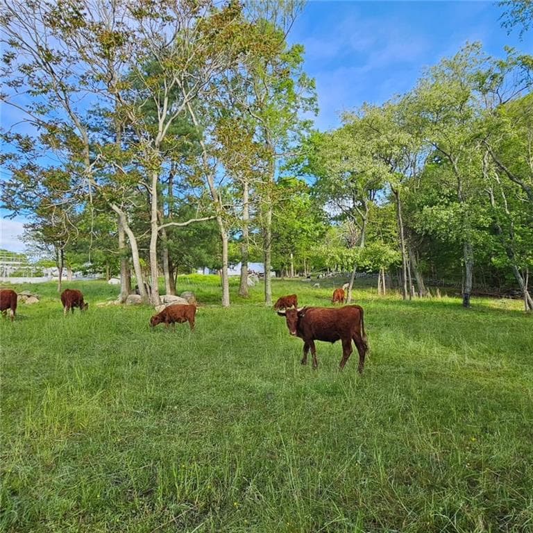 241 Cornell Road photo 32