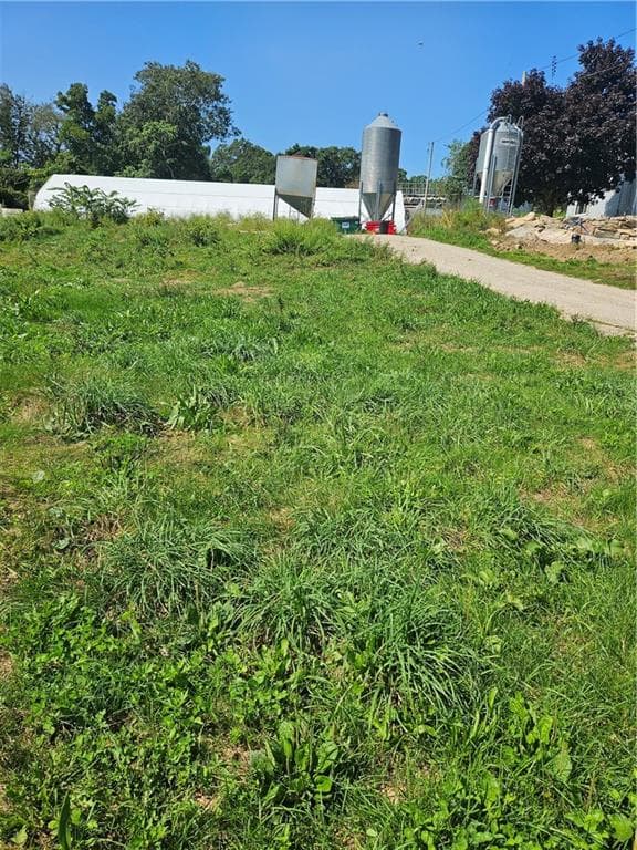 241 Cornell Road photo 10
