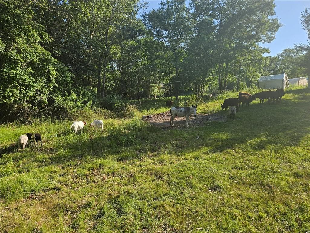 241 Cornell Road photo 45