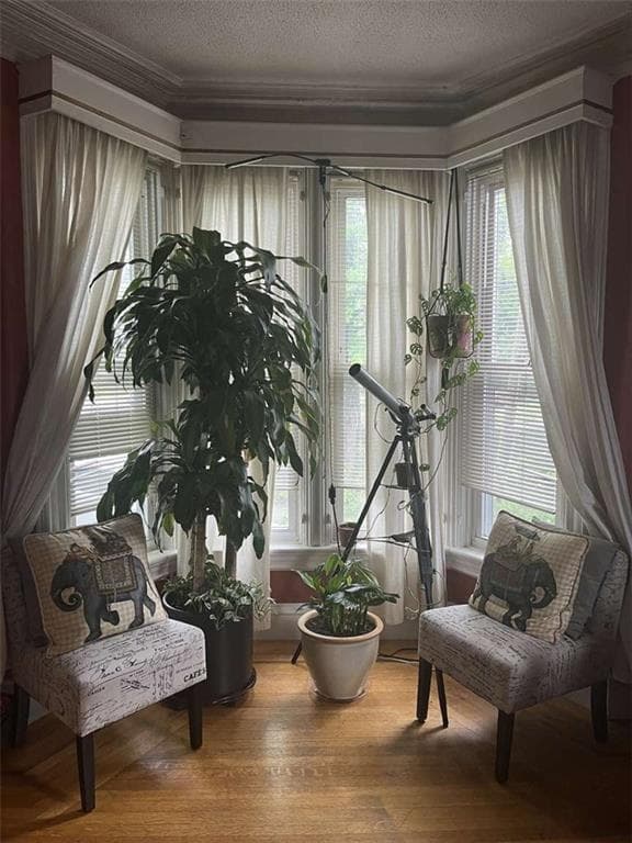 132 Jenkins Street photo 12