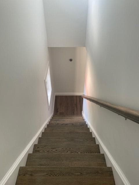 13 Nobert Street UNIT 1 photo 15