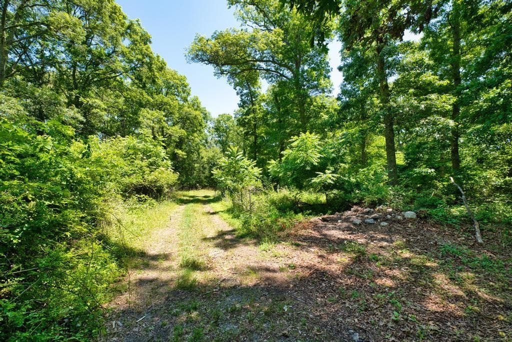 99 A Pottersville Road photo 12