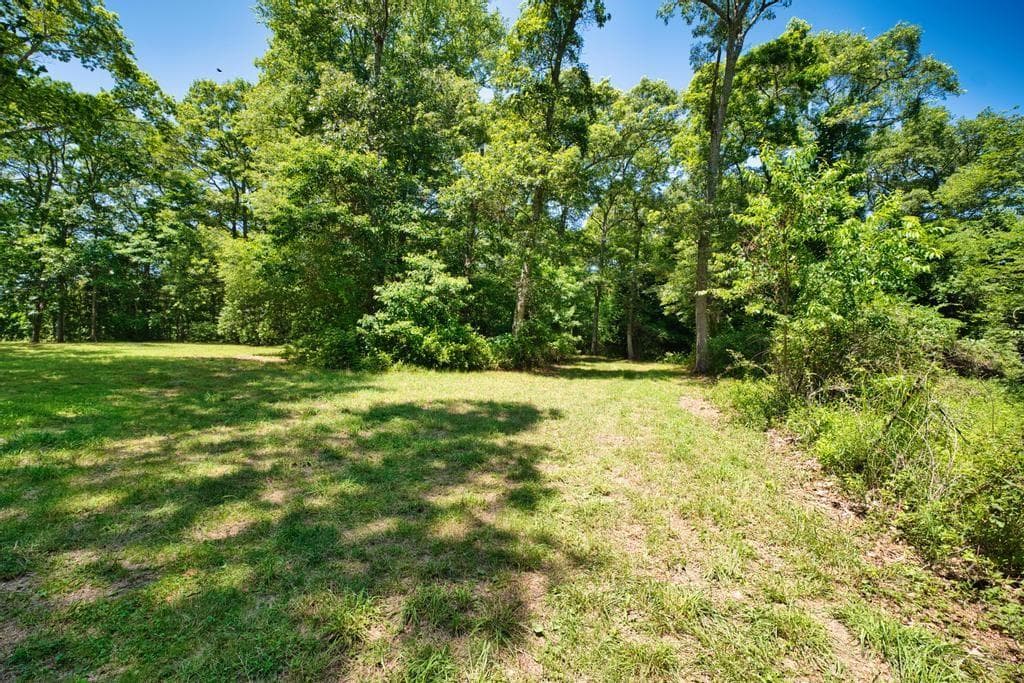99 A Pottersville Road photo 14