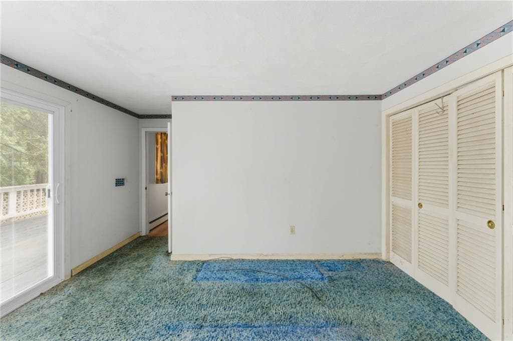 41 Shirley Street photo 17