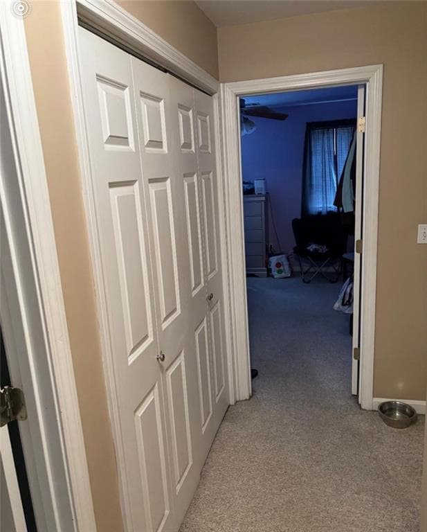 165 Holland Street UNIT 4 photo 5