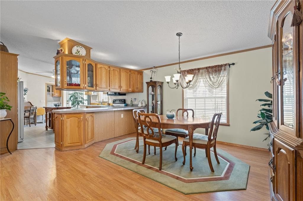 9 Nightingale Lane photo 16