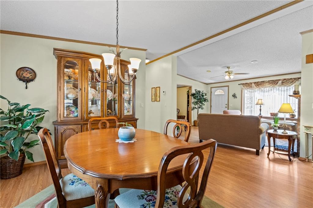 9 Nightingale Lane photo 18