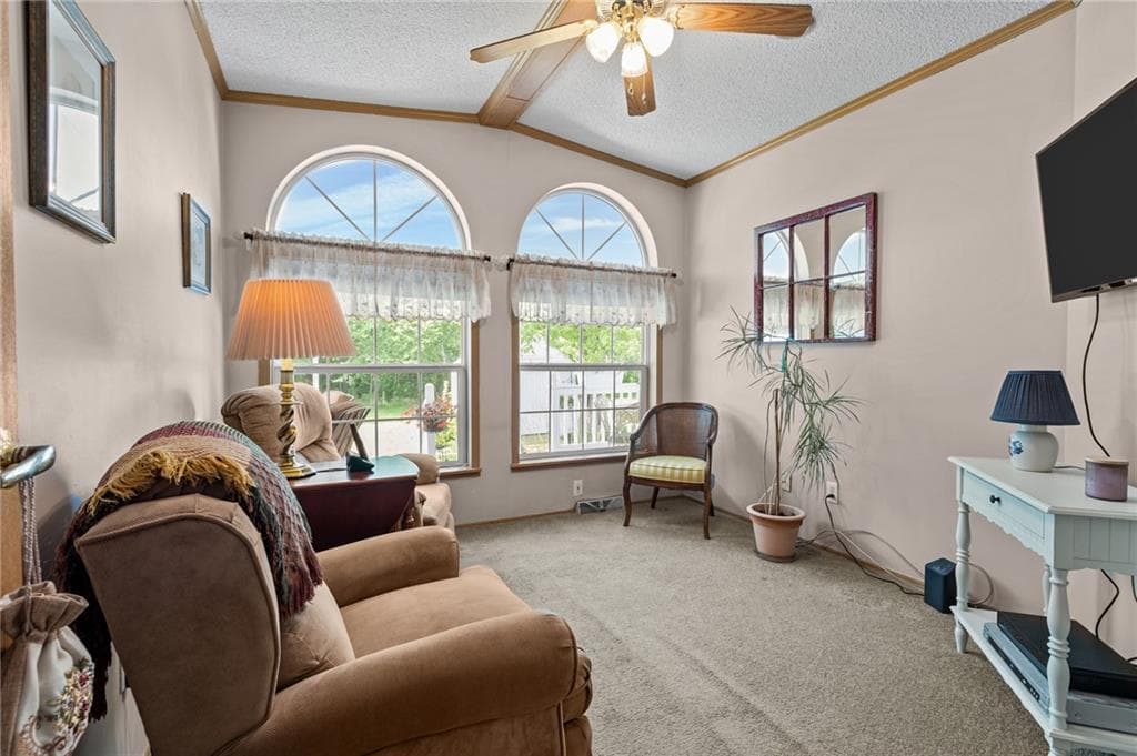 9 Nightingale Lane photo 19