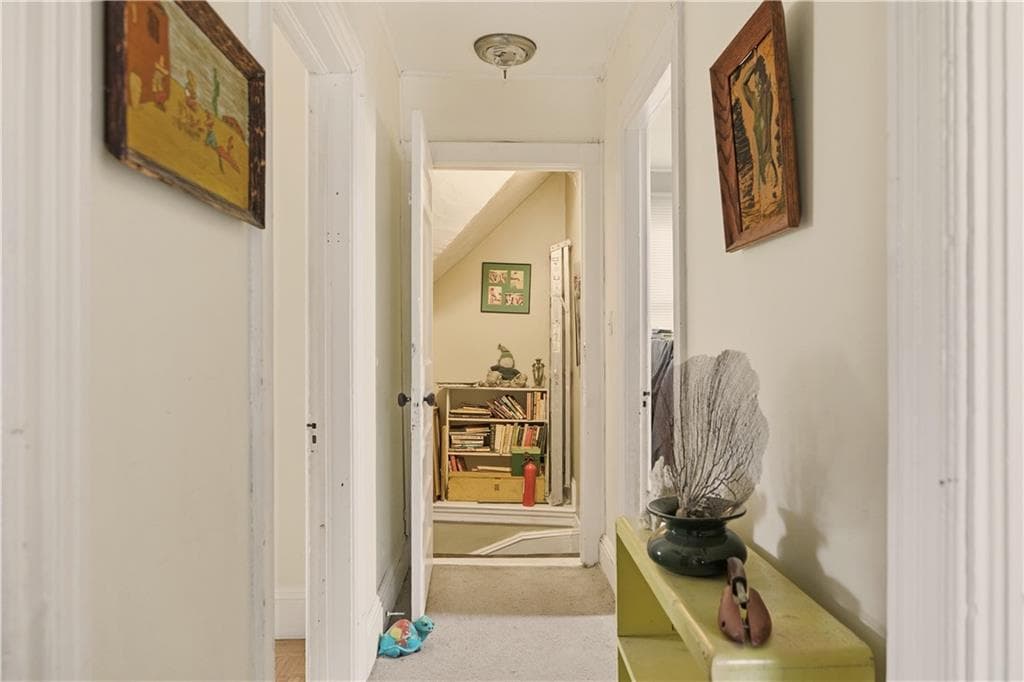 51 Warner Street photo 23