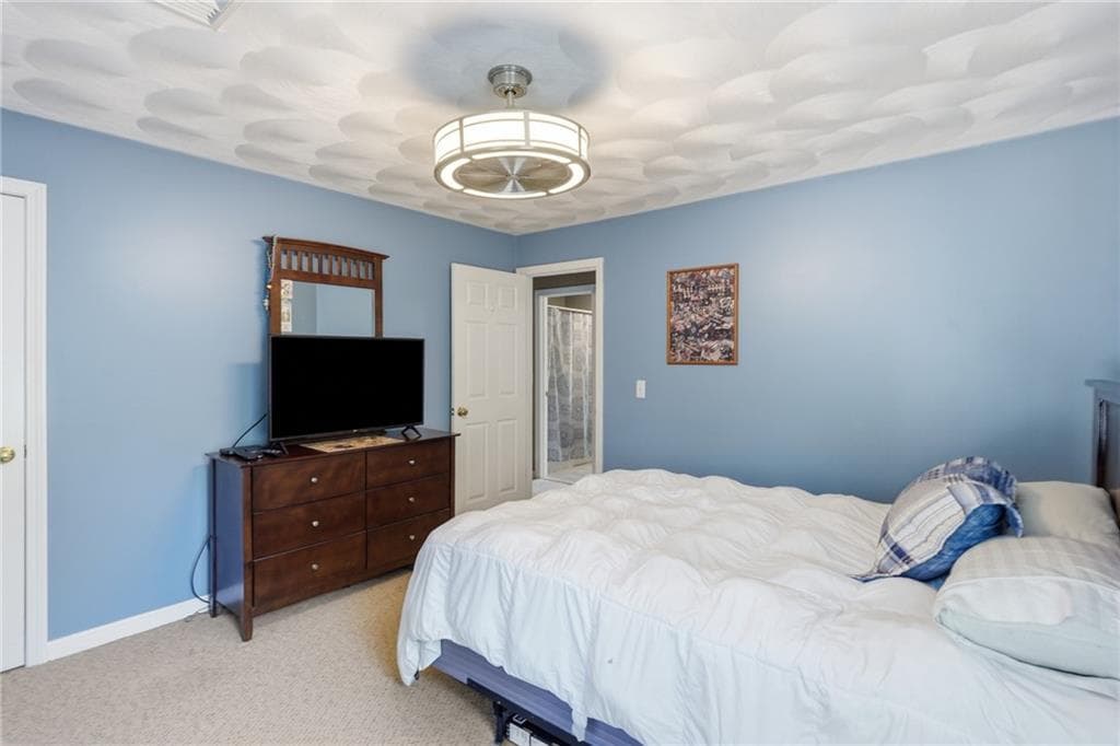 106 1/2 Bishop Hill Road photo 29