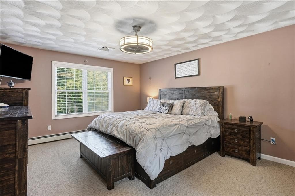106 1/2 Bishop Hill Road photo 21